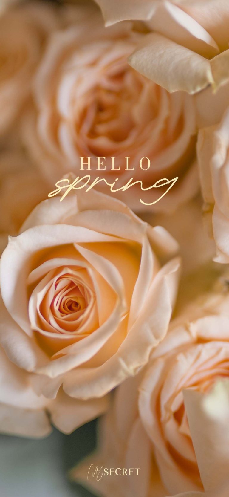 MySecret 2026 Spring wallpaper